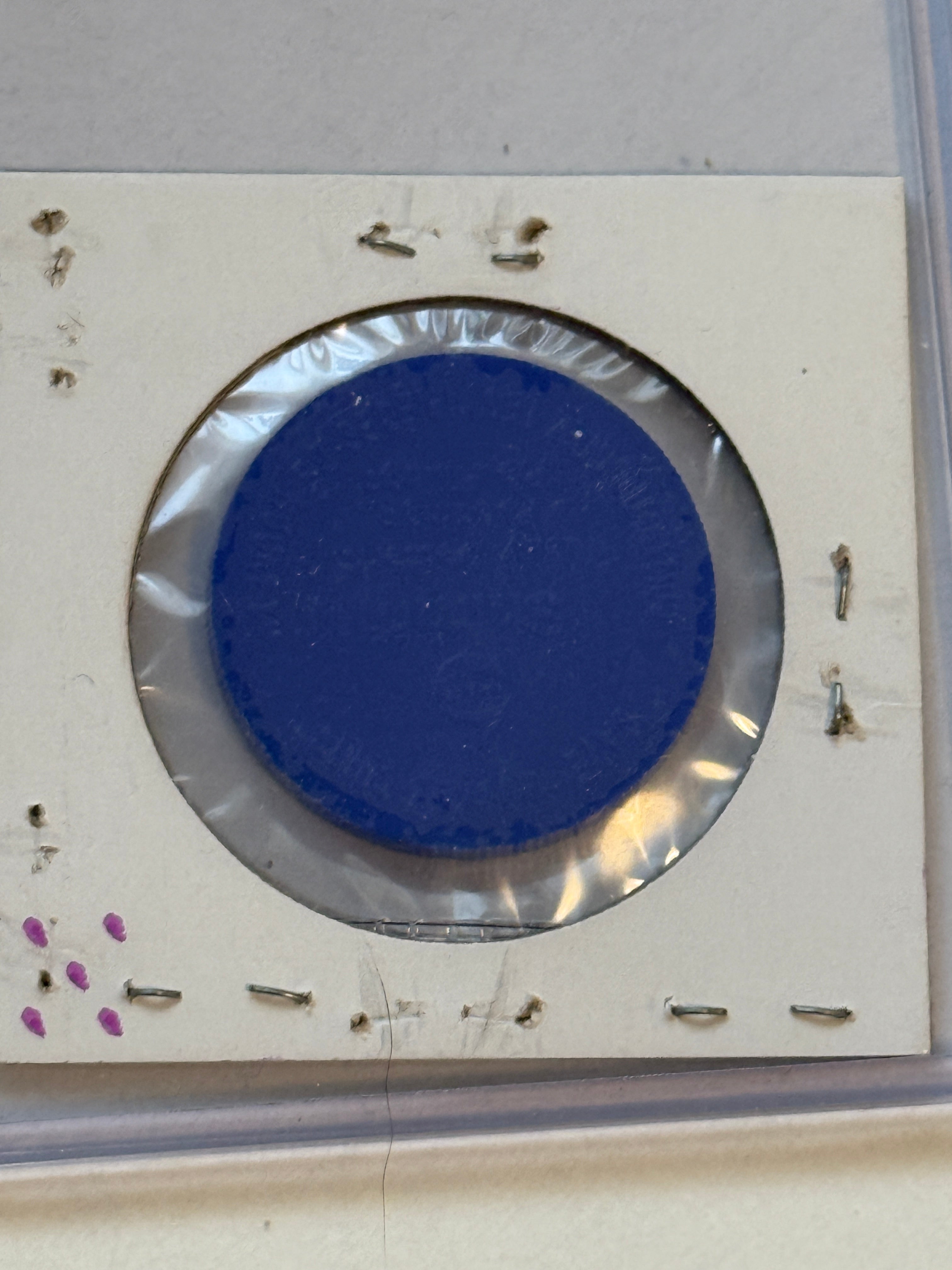 Tim Horton Sherriff hockey rare coin 1968