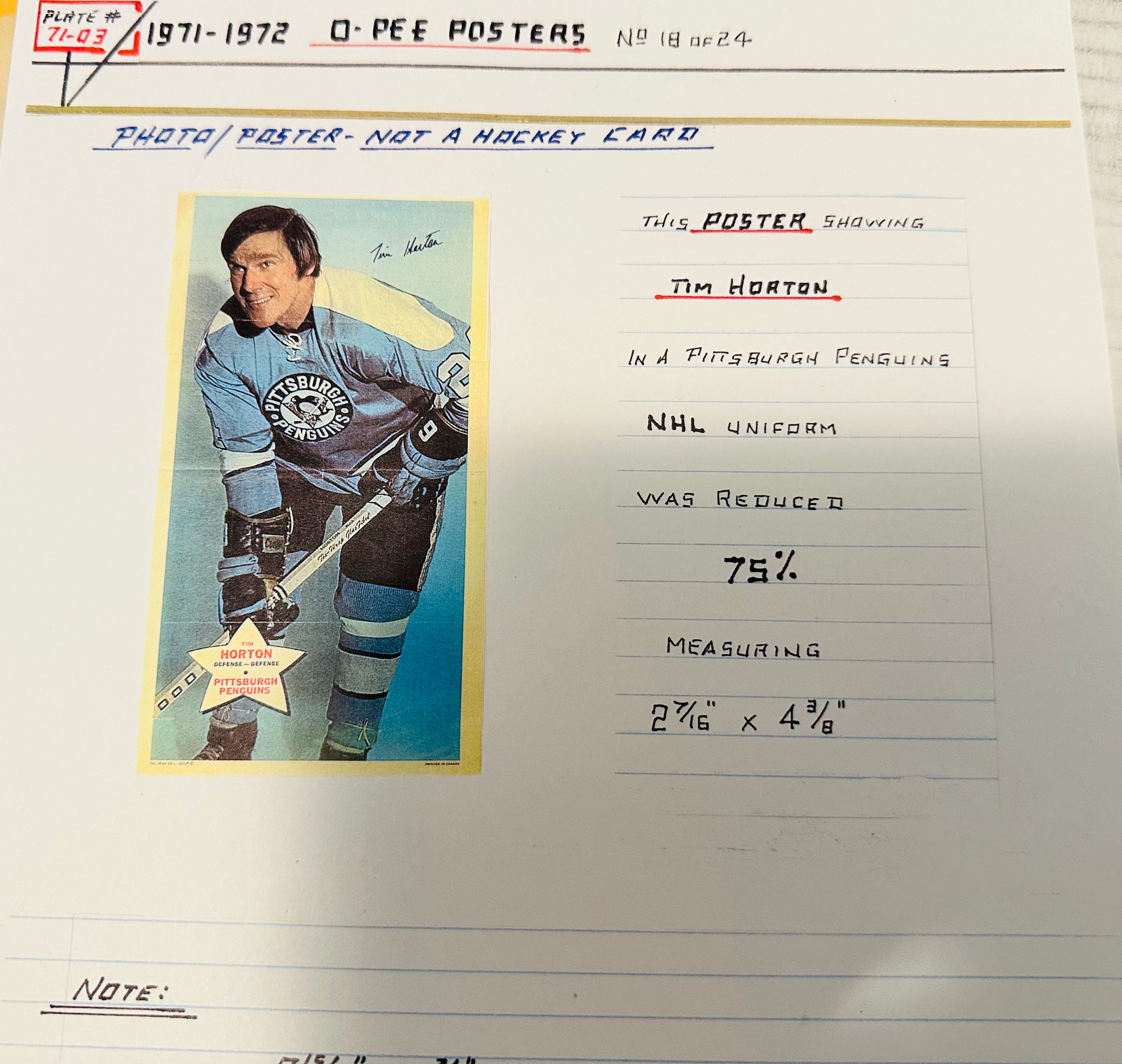 Tim Horton hockey legend Opc rare poster 1971-72