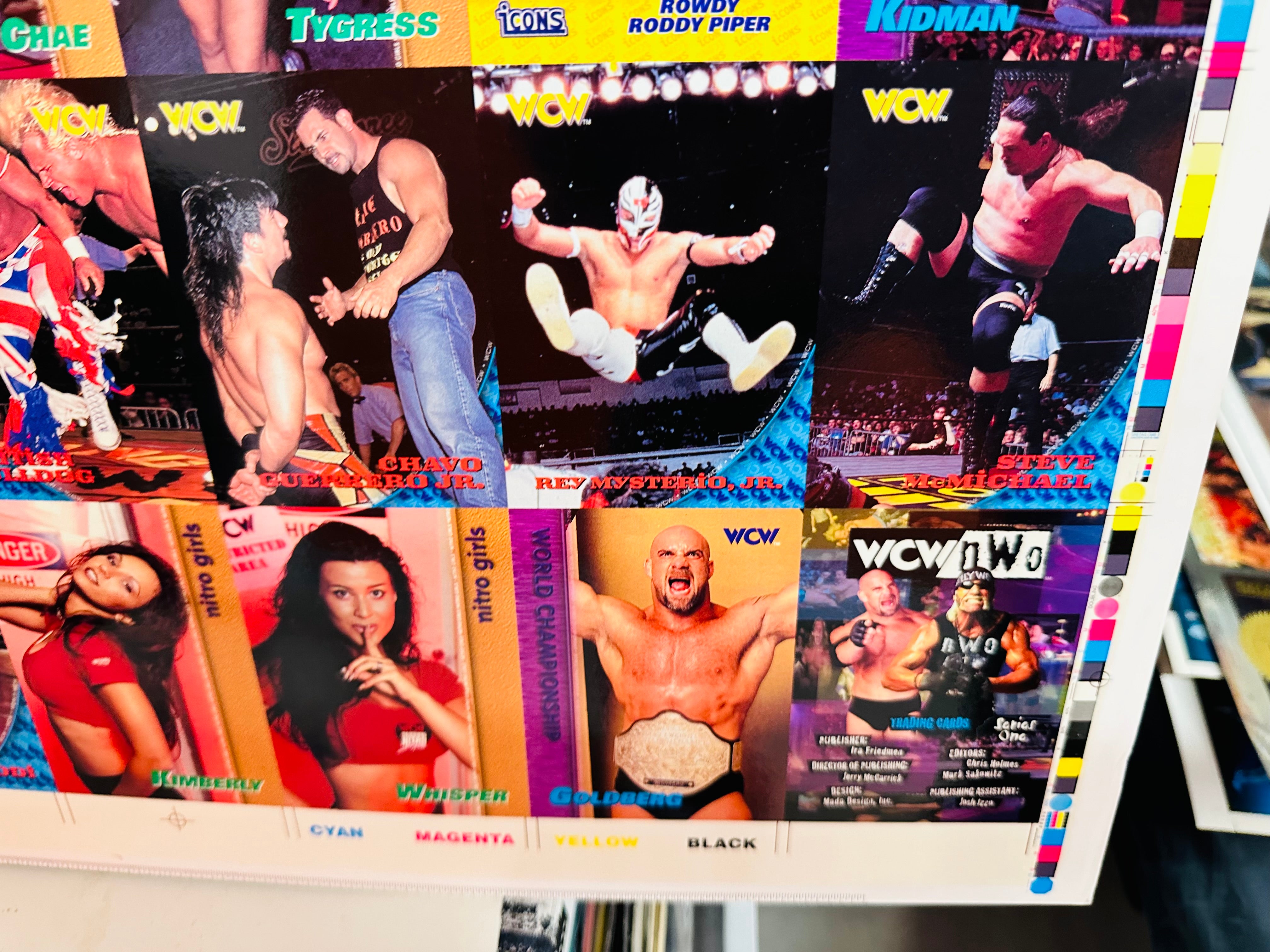 rare wcw cards Wrestling WCW rare uncut cards sheet 1995