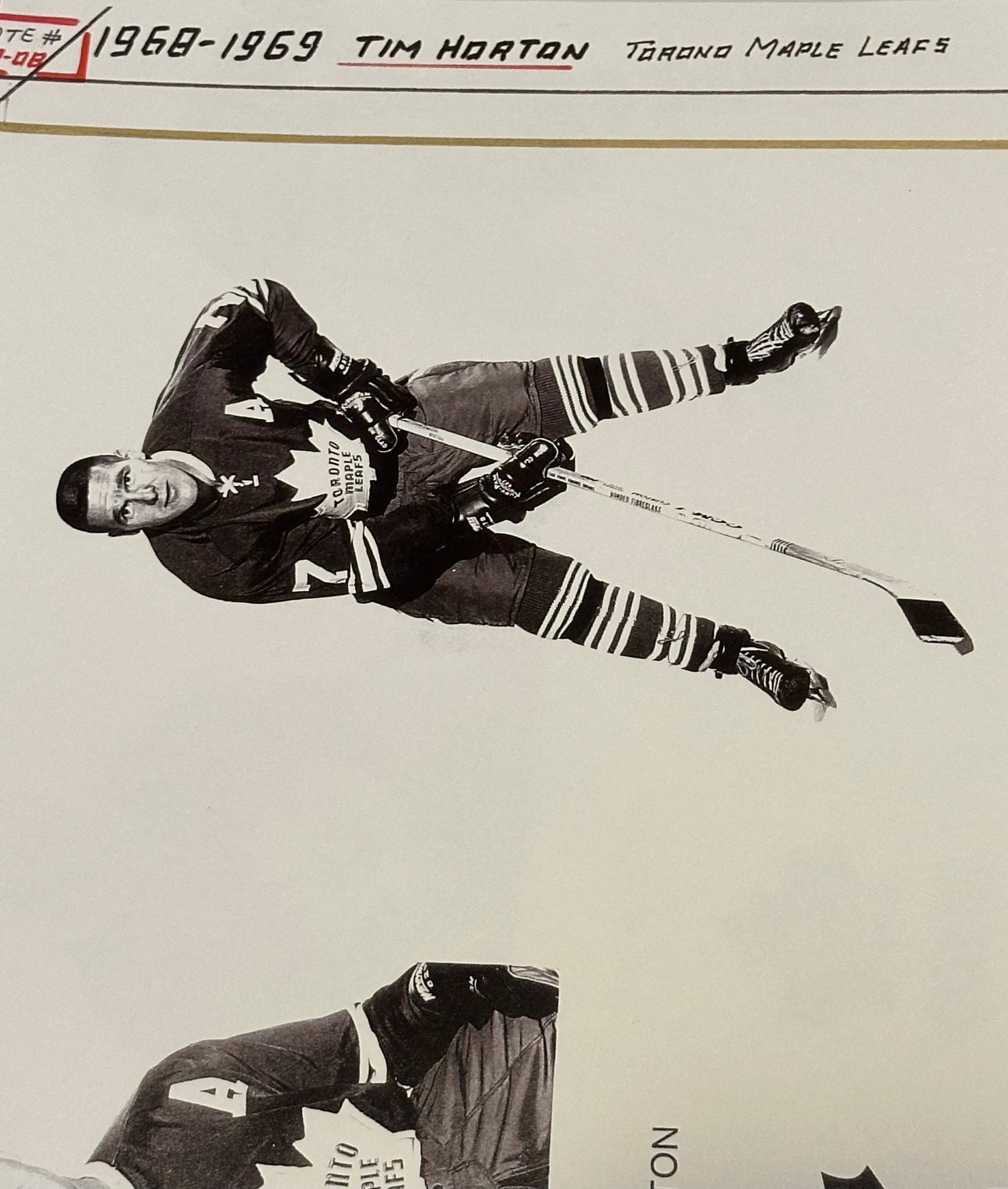 Tim Horton Leafs hockey legend original press photo 1968-69