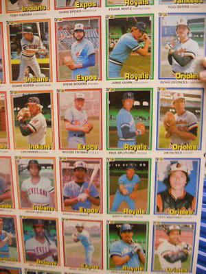 rare donruss baseball cards Donruss baseball cards rare uncut card sheet 1981