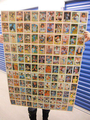 Donruss baseball cards rare uncut card sheet 1981