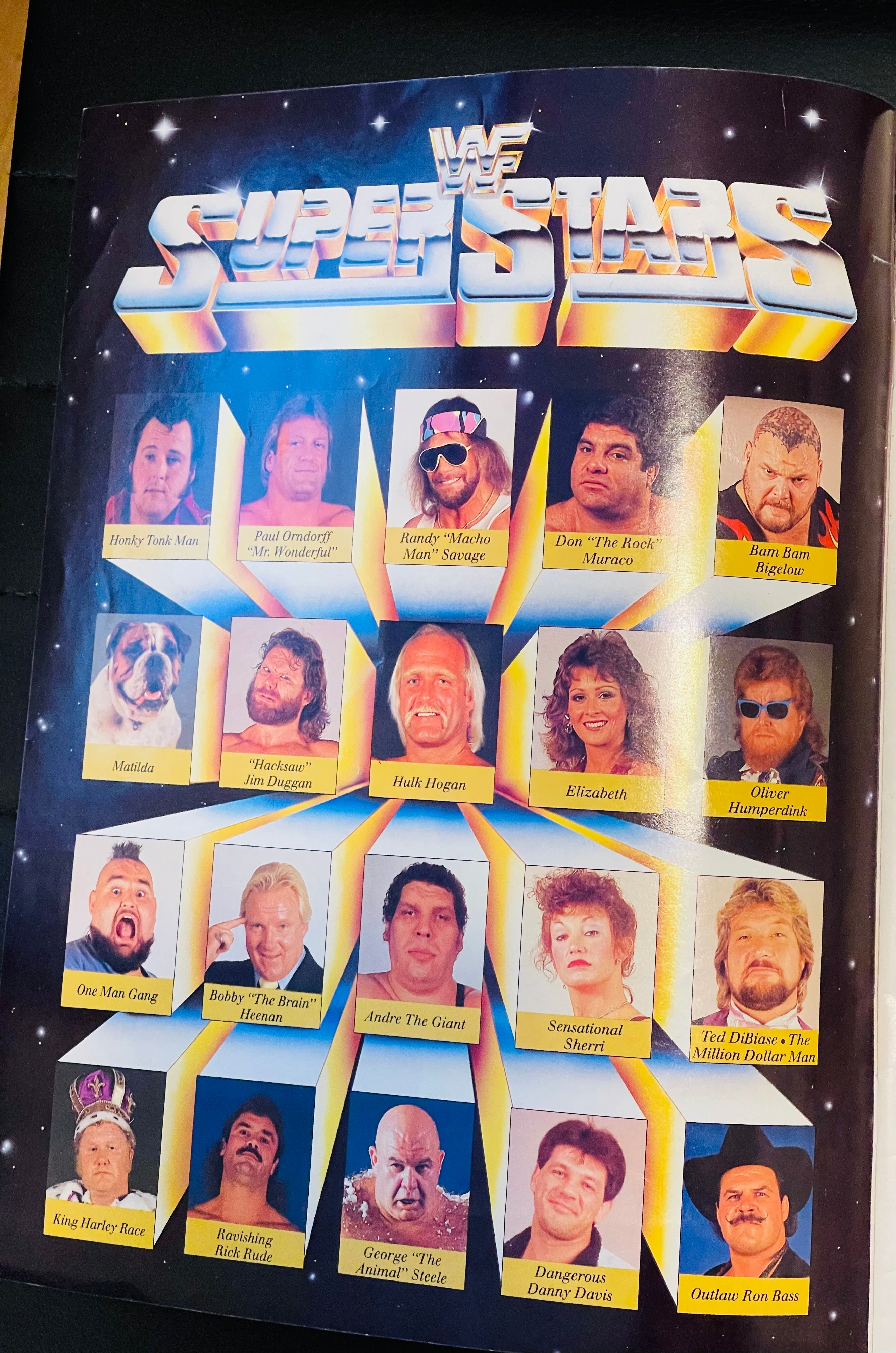 WF wrestling vintage program 1988