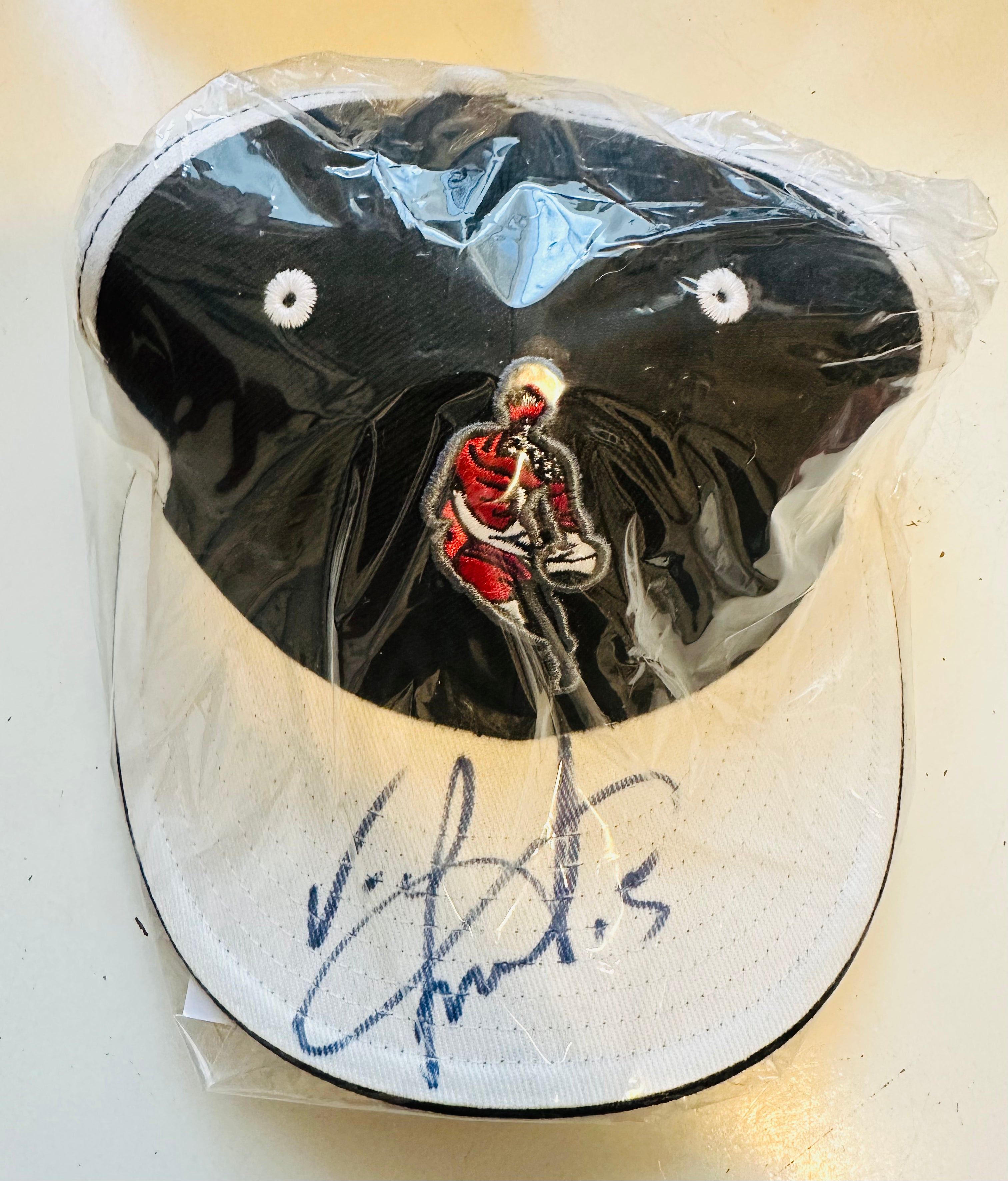 Toronto Raptors basketball rare Vince Carter signed hat with COA