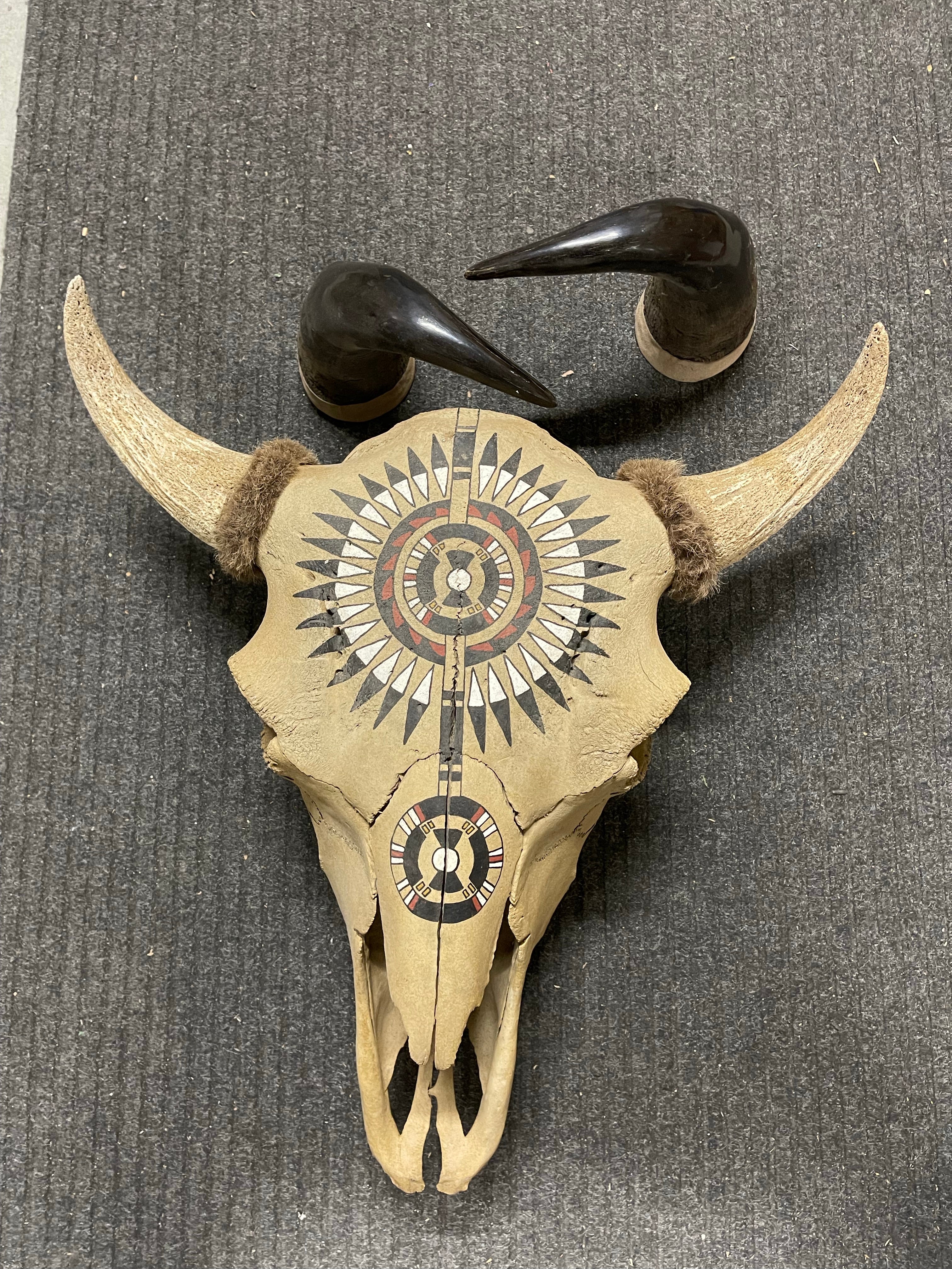 Bull decorative skull with horns ready to hang