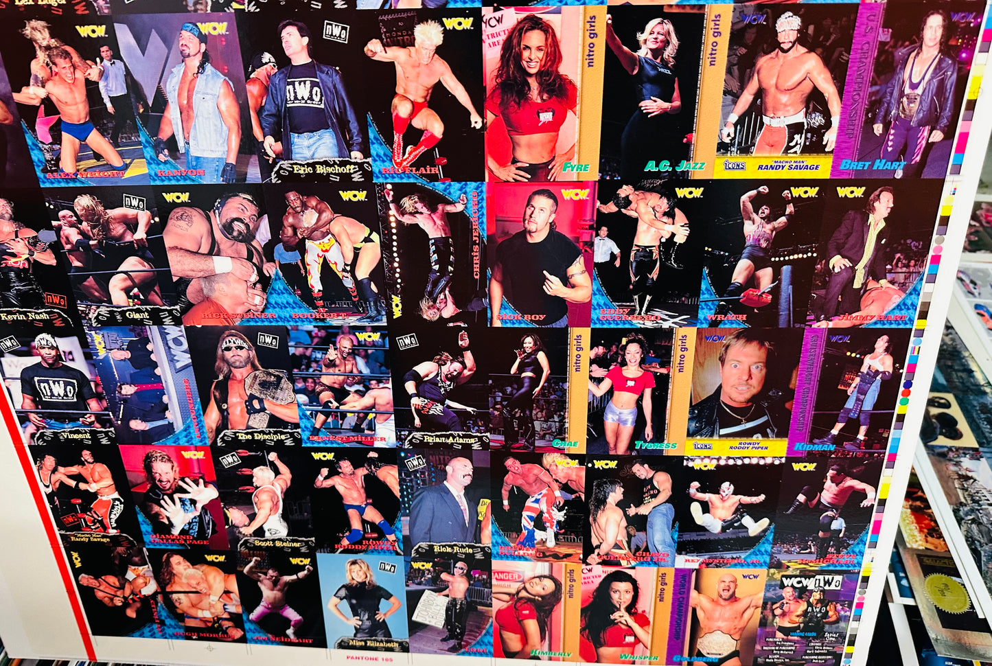 Wrestling WCW rare uncut cards sheet 1995