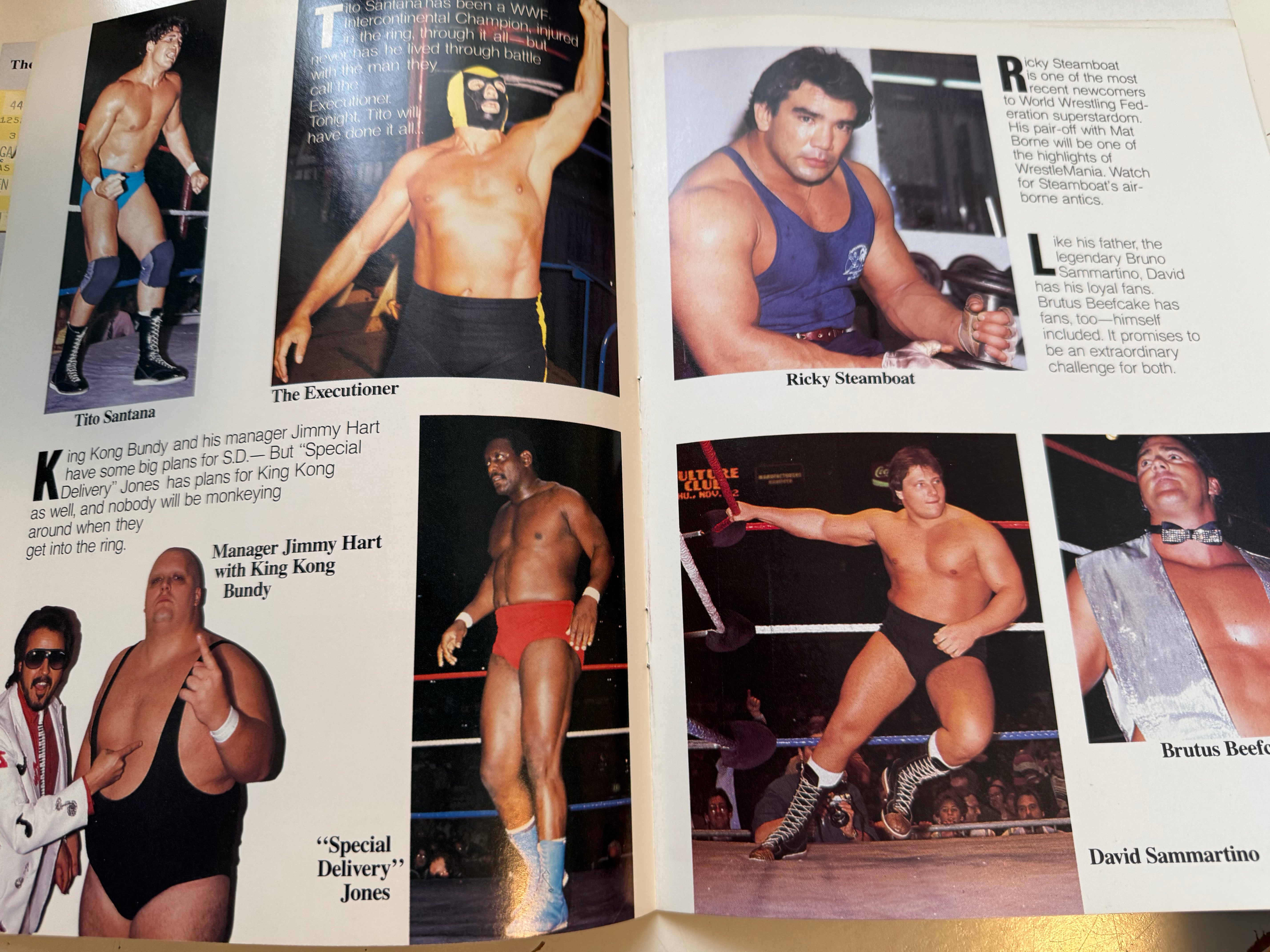 1985 wrestlemania, rare original first program with original ticket from this great event!