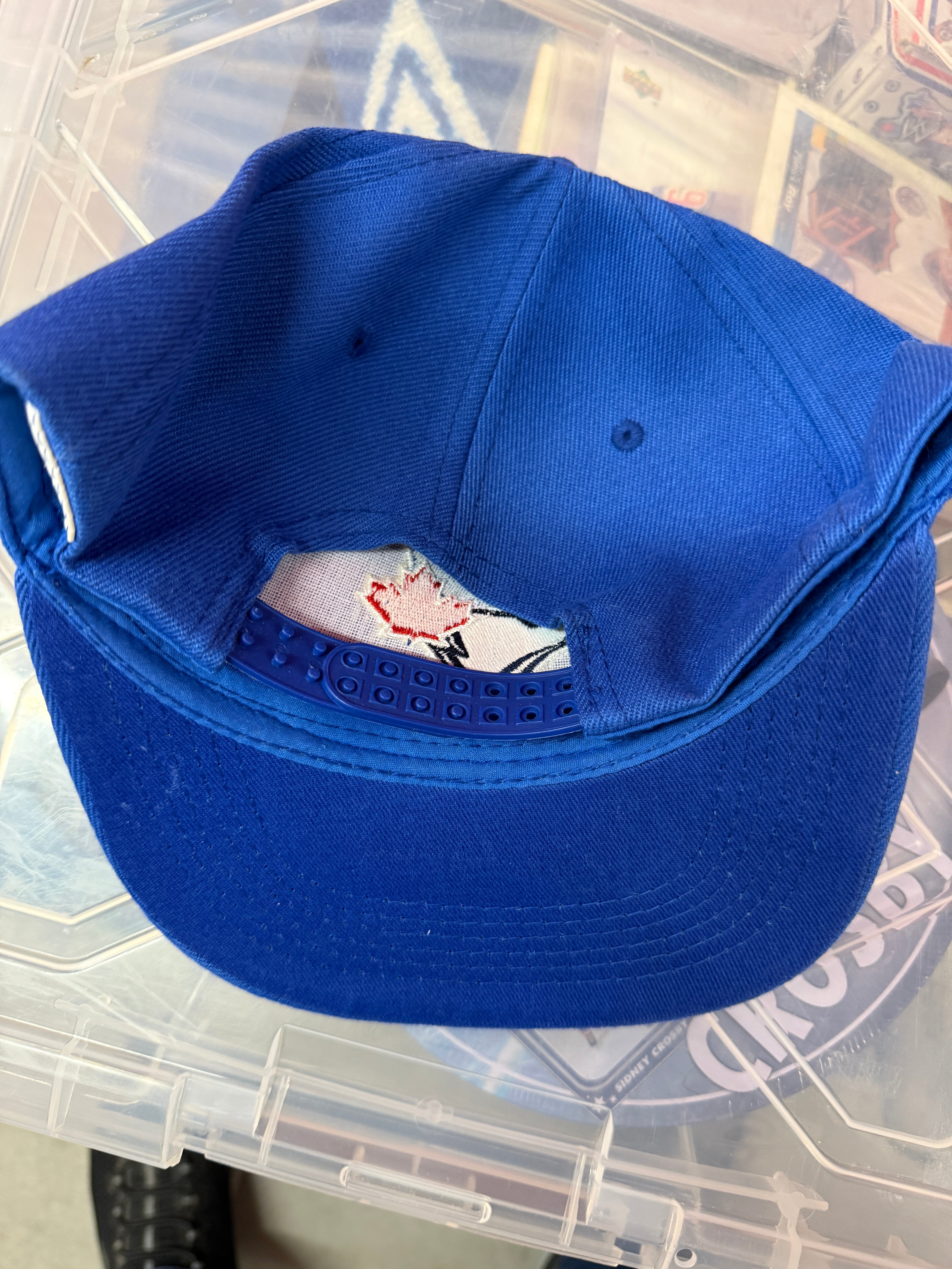 Toronto Blue Jays Carlos Delgado autographed adjustable hat with COA