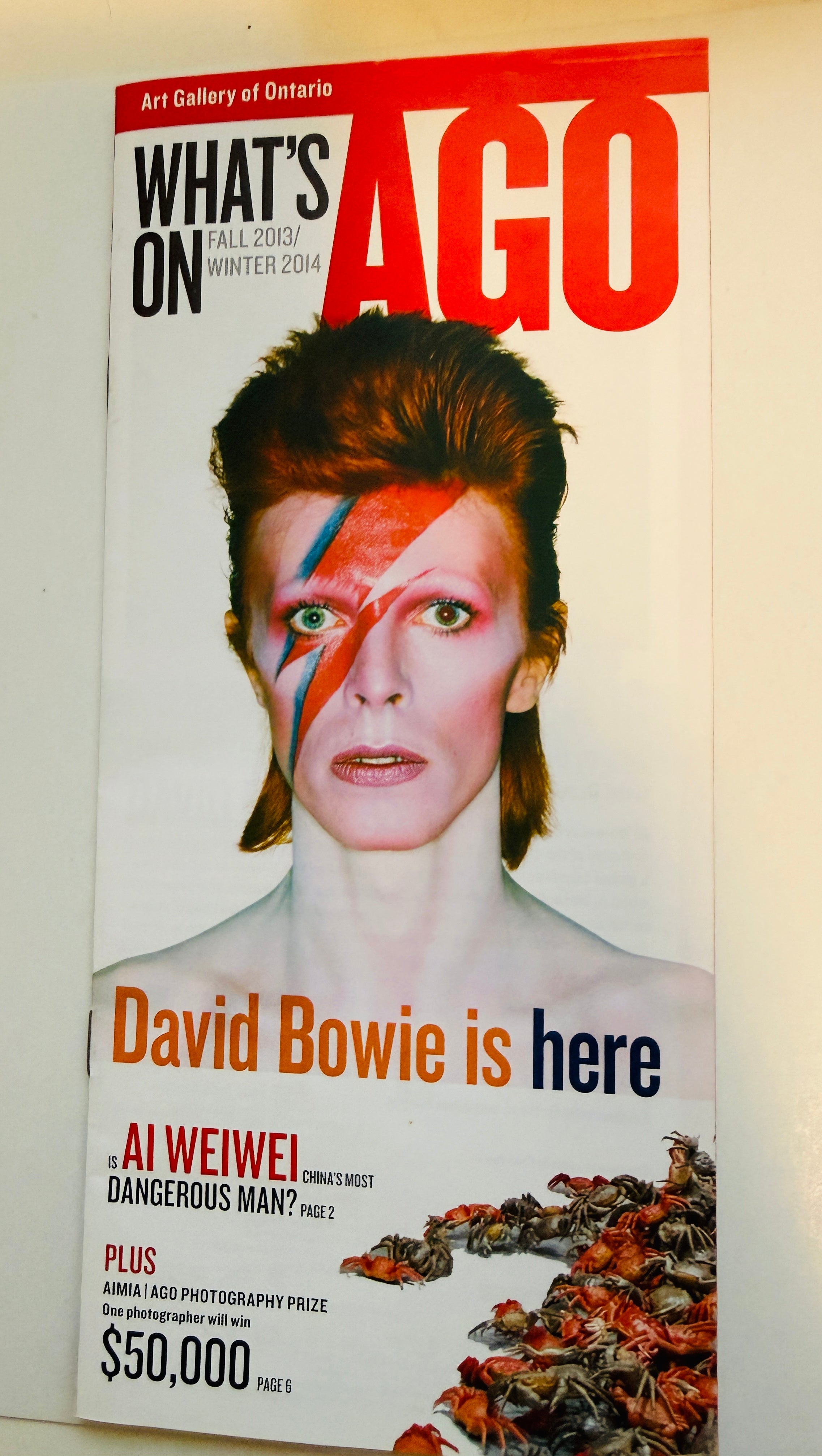 David Bowie rockstar legend amazing Art Gallery of Ontario exhibit brochure 2013