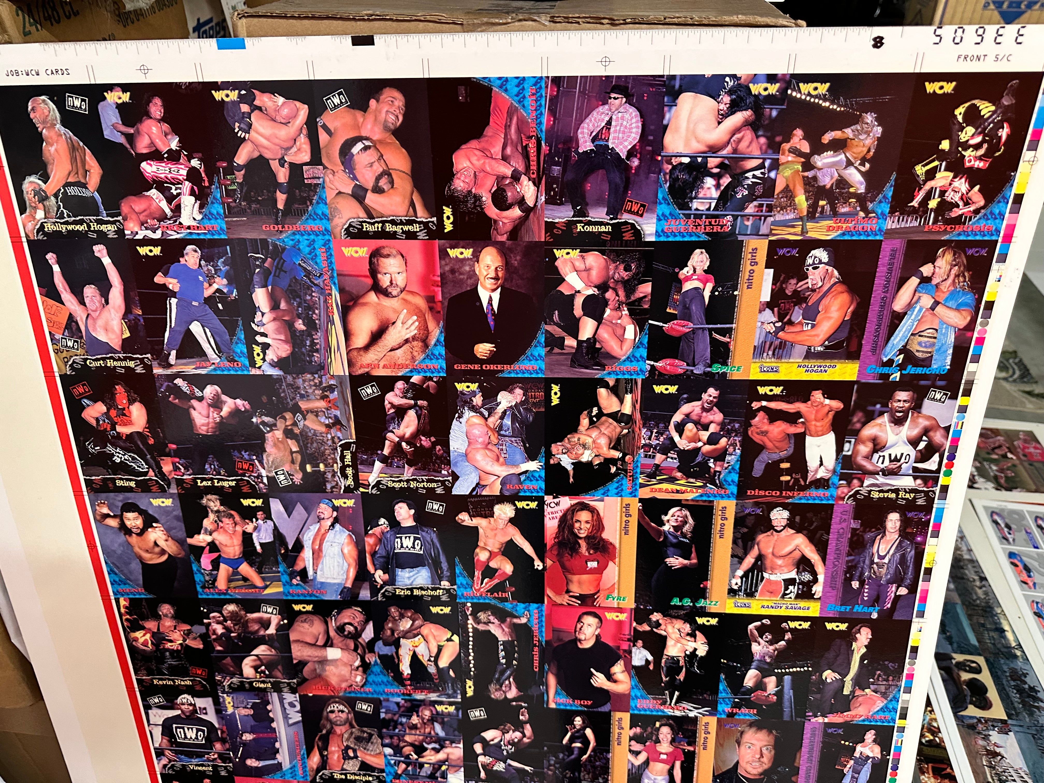 rare wcw cards Wrestling WCW rare uncut cards sheet 1995