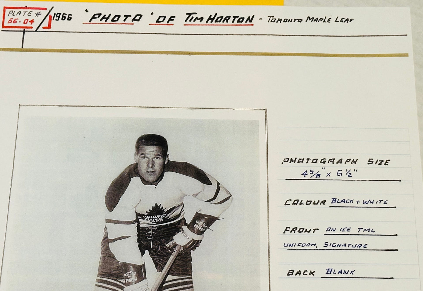 Tim Horton vintage leafs hockey photo 1966