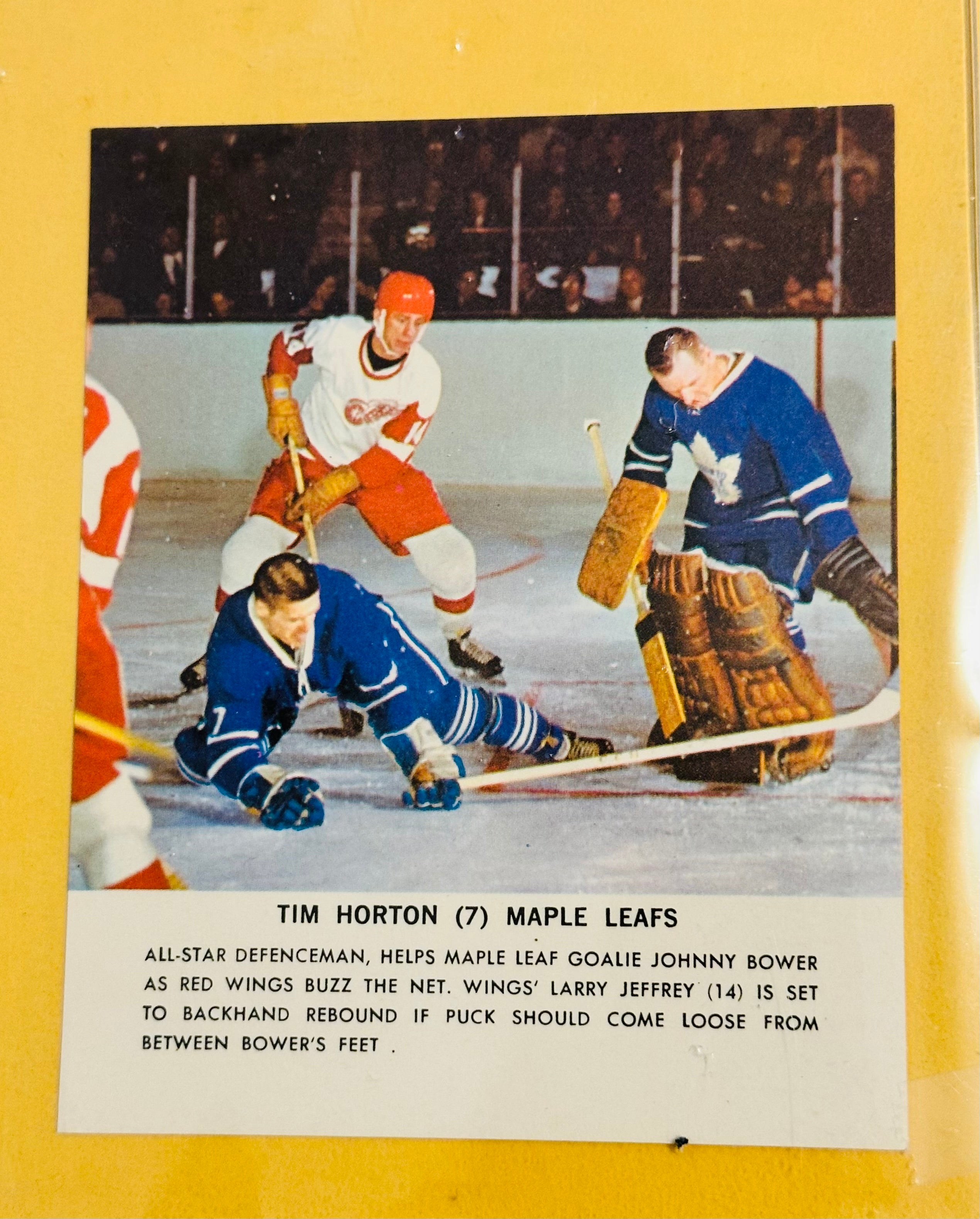 Tim Horton Toronto Star rare photo card insert 1964-65
