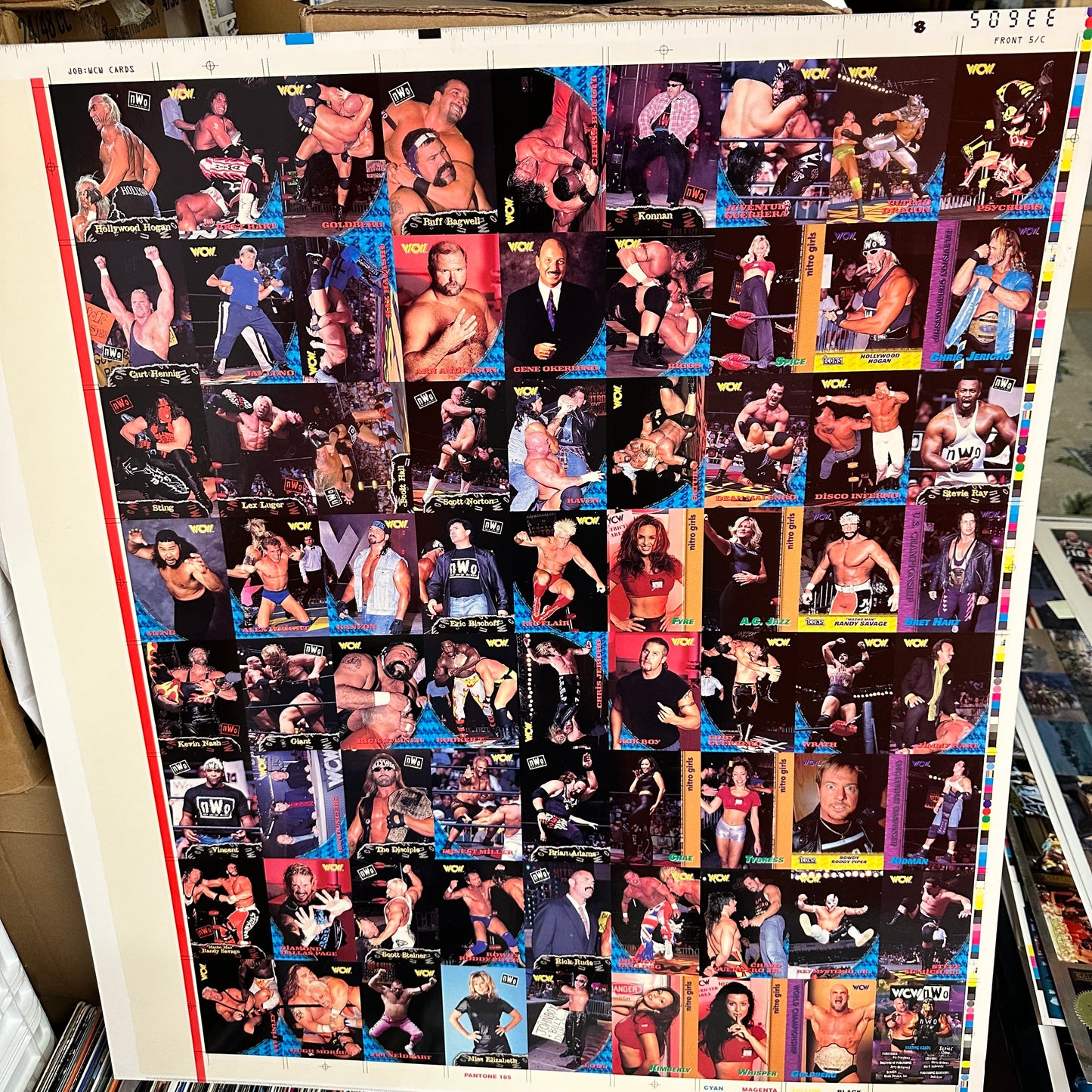 Wrestling WCW rare uncut cards sheet 1995