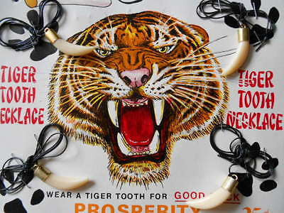 Tigers Teeth rare vending machine display card 1970s