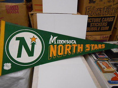 Minnesota North Stars NHL hockey Banner 1970s