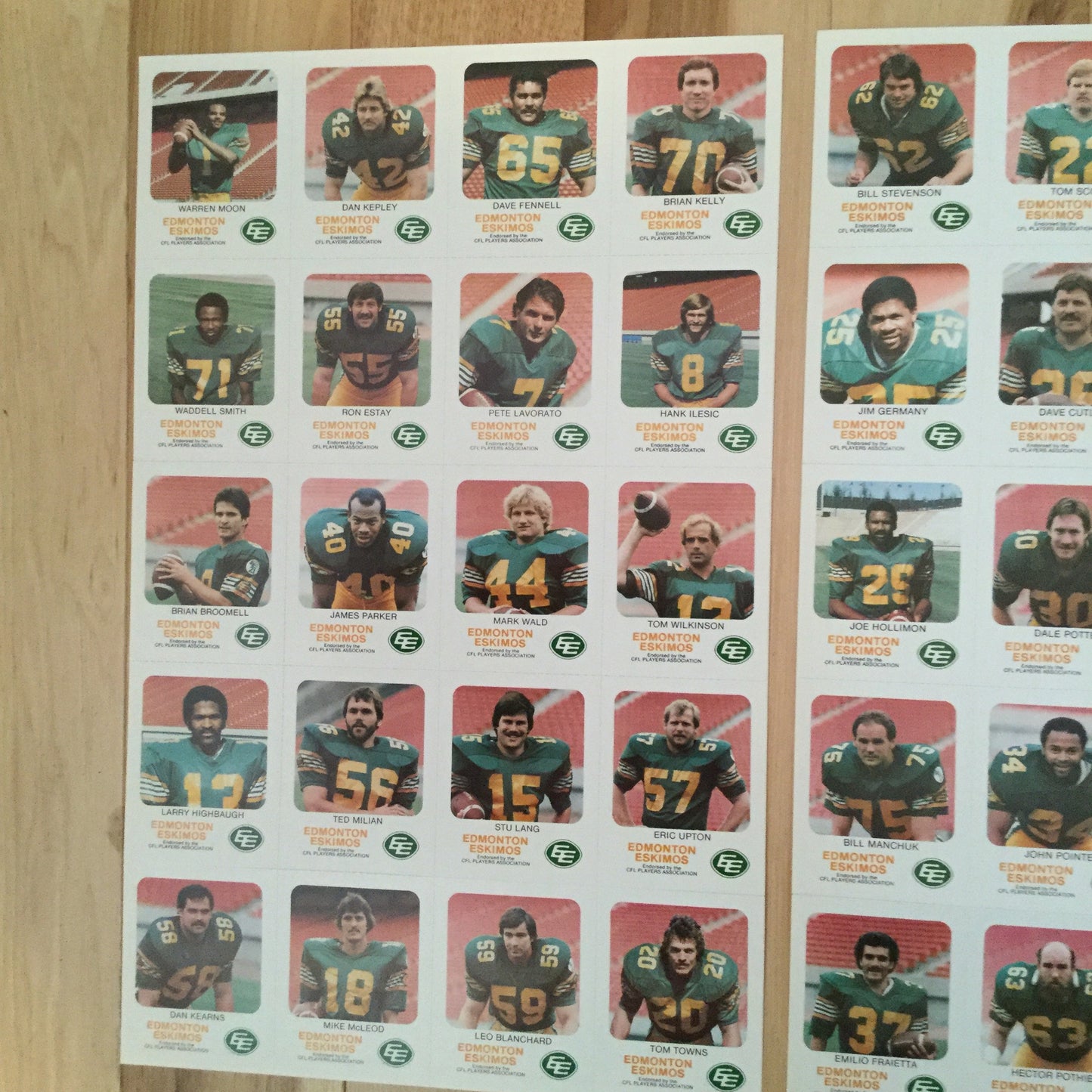 CFL Red Rooster rare Edmonton Eskimos Warren Moon rookie uncut card sheets 1981