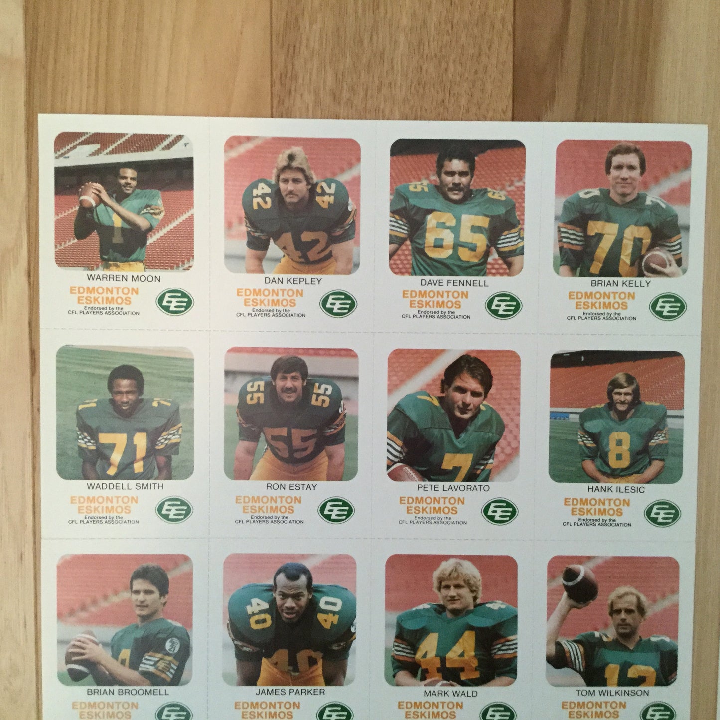 CFL Red Rooster rare Edmonton Eskimos Warren Moon rookie uncut card sheets 1981