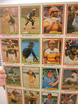 Donruss baseball cards rare uncut card sheet 1981