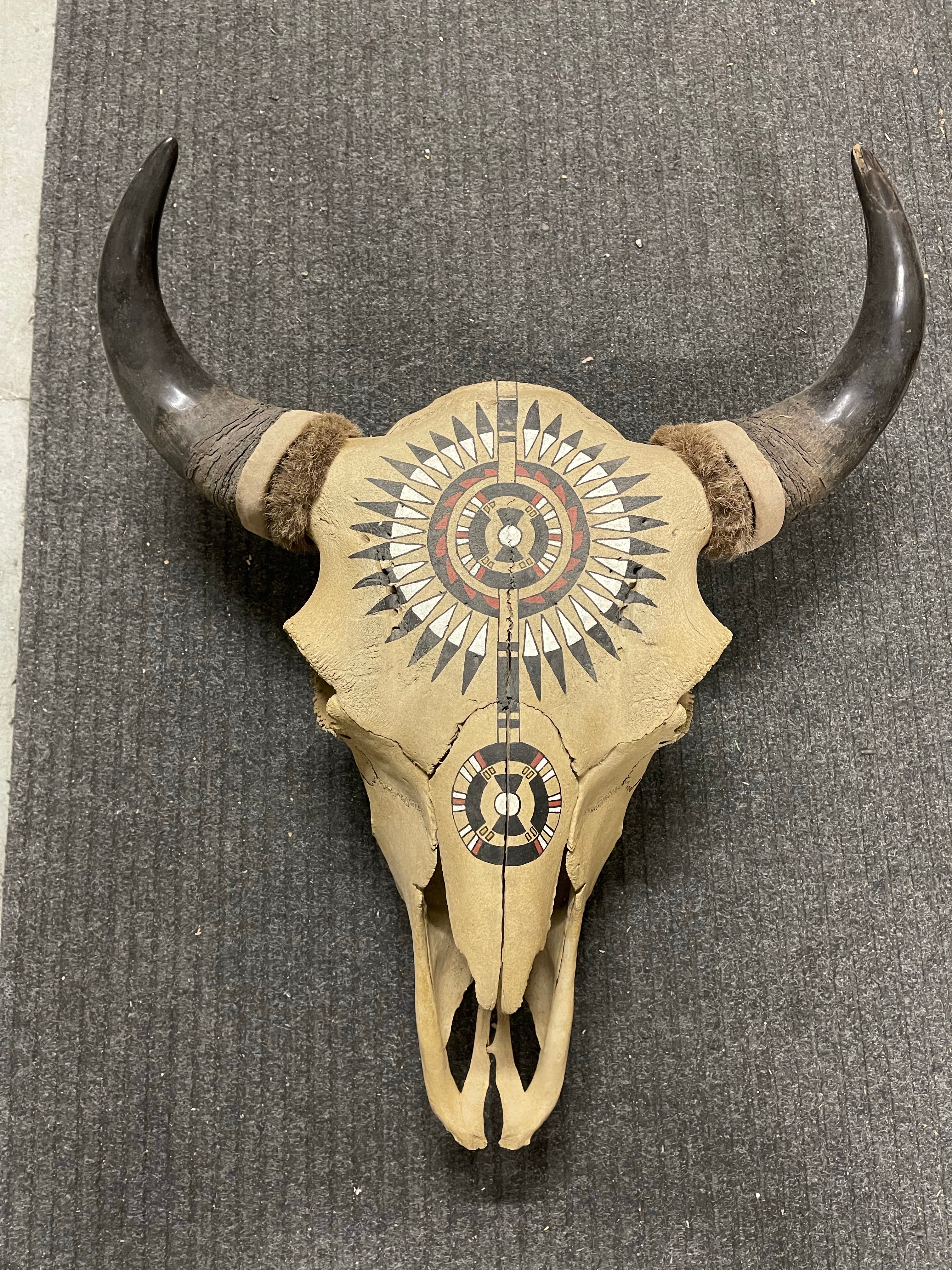 Bull decorative skull with horns ready to hang