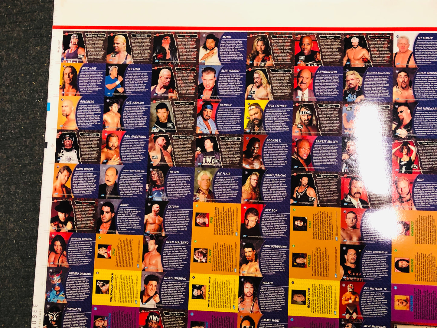 Wrestling WCW rare uncut cards sheet 1995