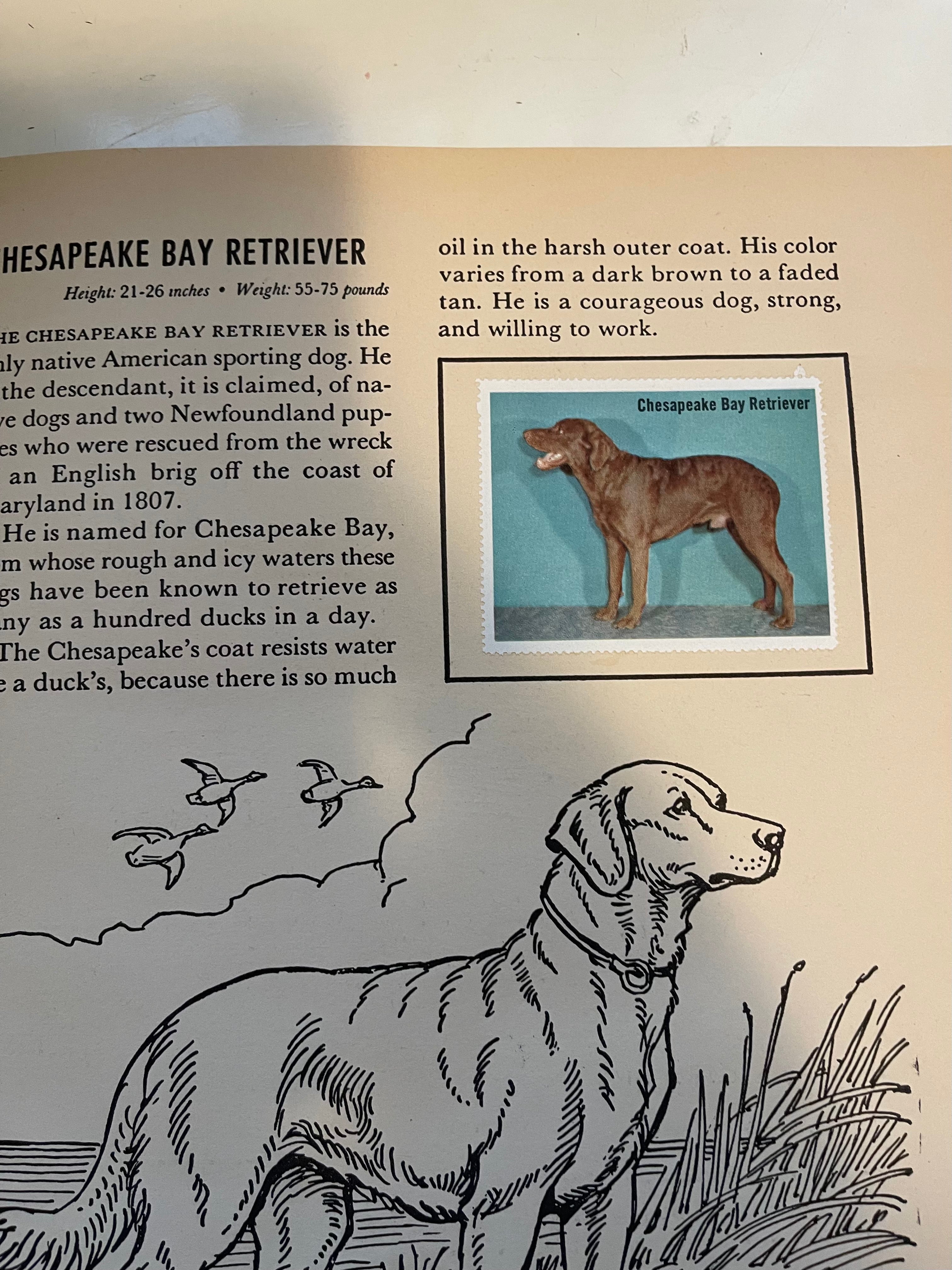 Dogs rare Stamps set in book 1953