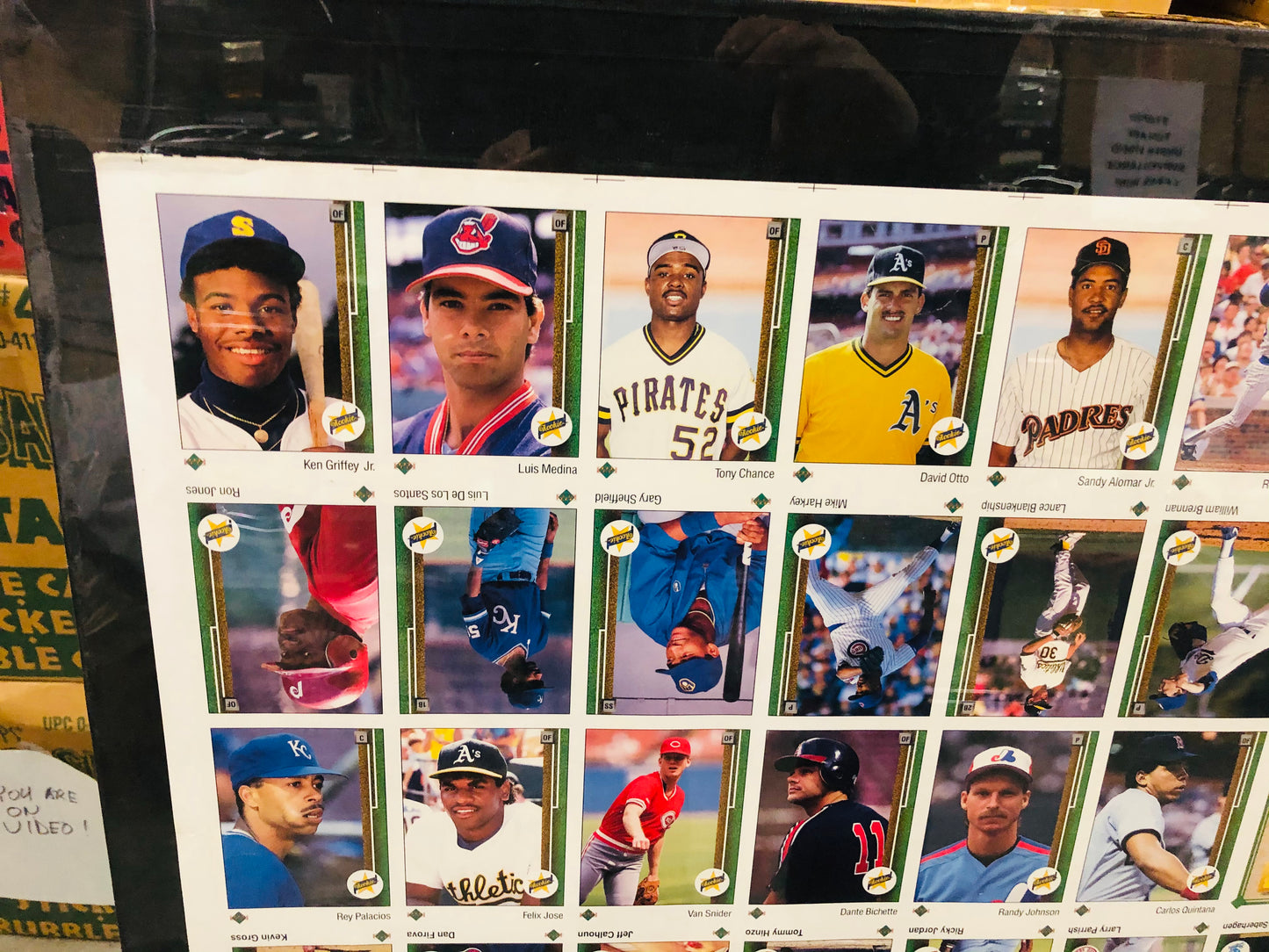 1989 Upper Deck rare baseball cards uncut sheet( stars and rookies)