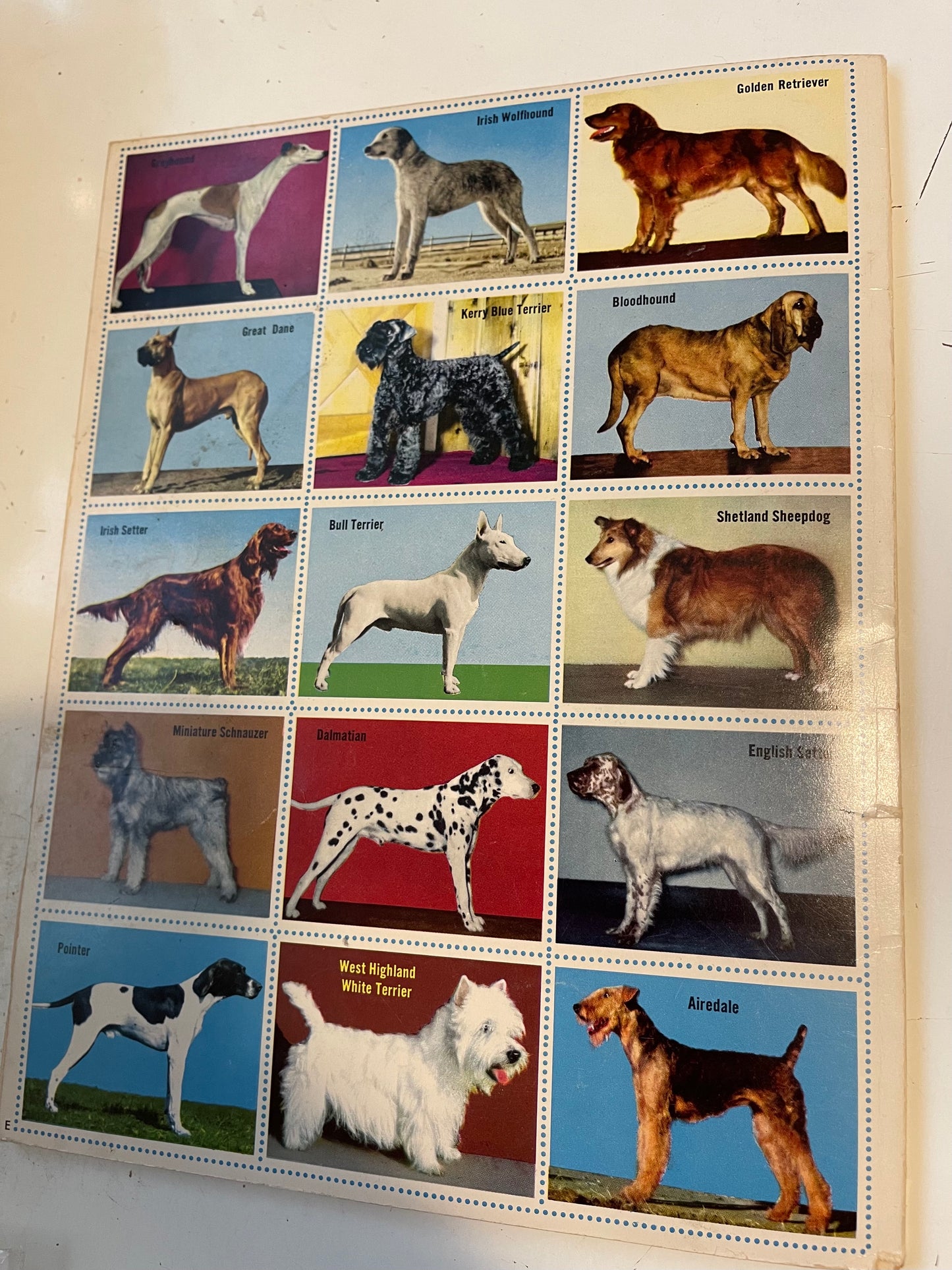 Dogs rare Stamps set in book 1953