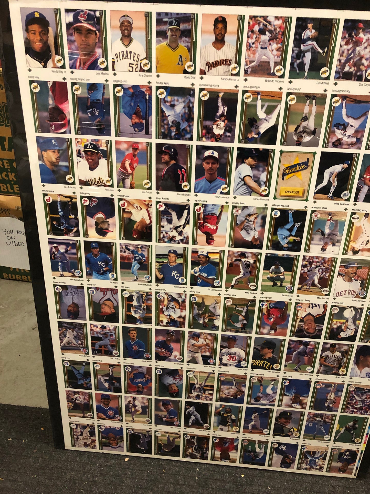 1989 Upper Deck rare baseball cards uncut sheet( stars and rookies)