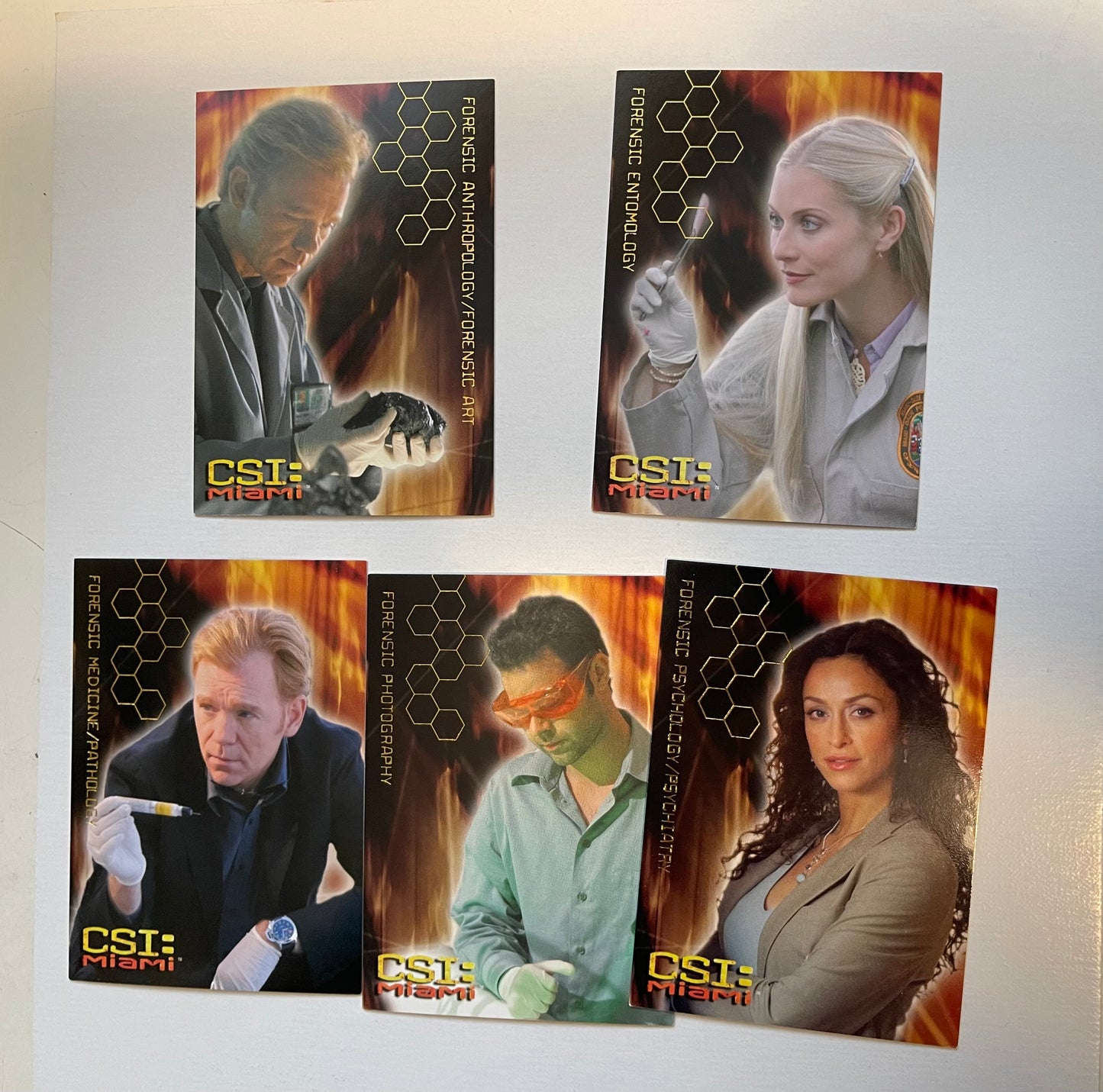 CSI Miami insert cards set