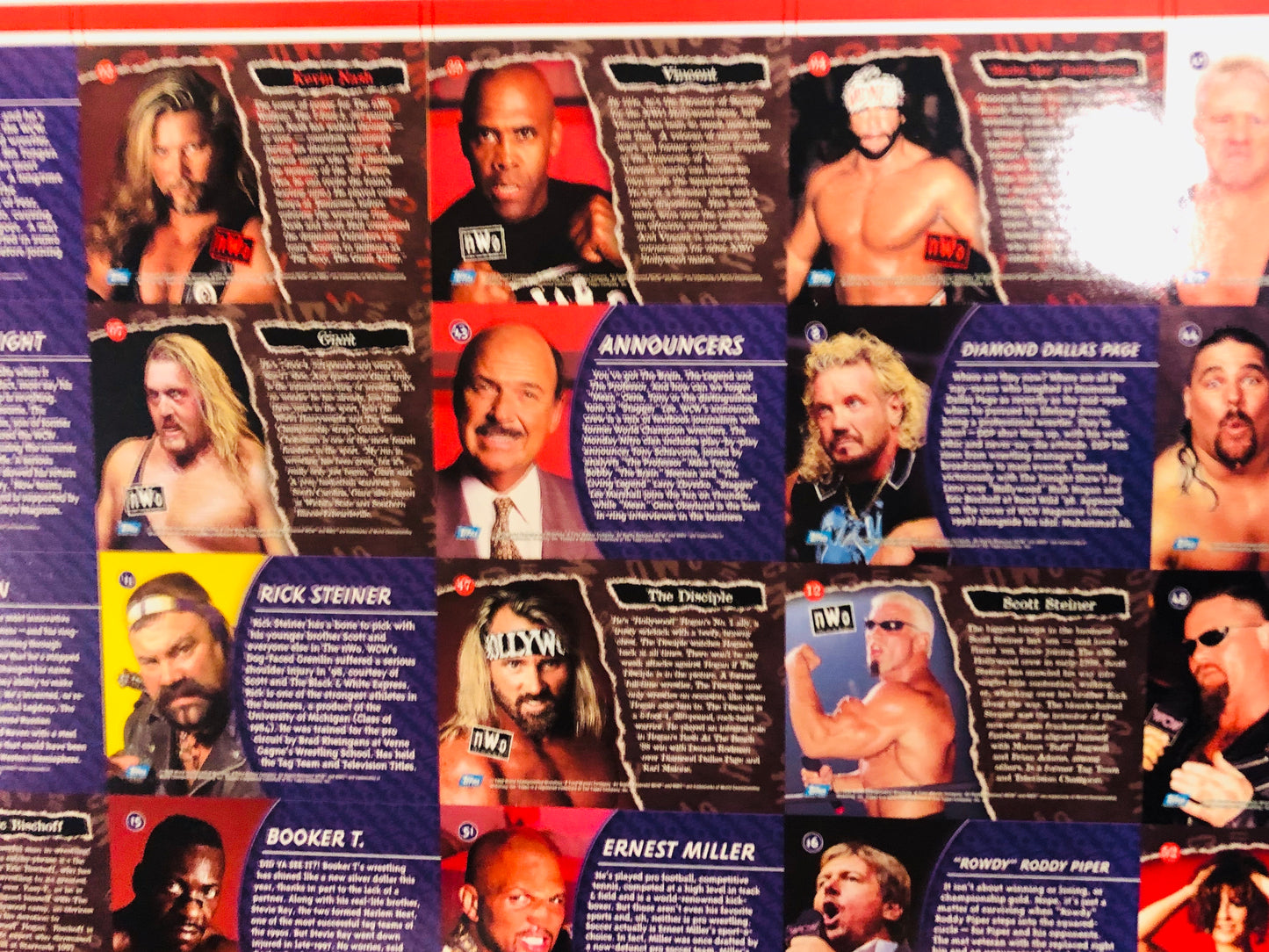 Wrestling WCW rare uncut cards sheet 1995