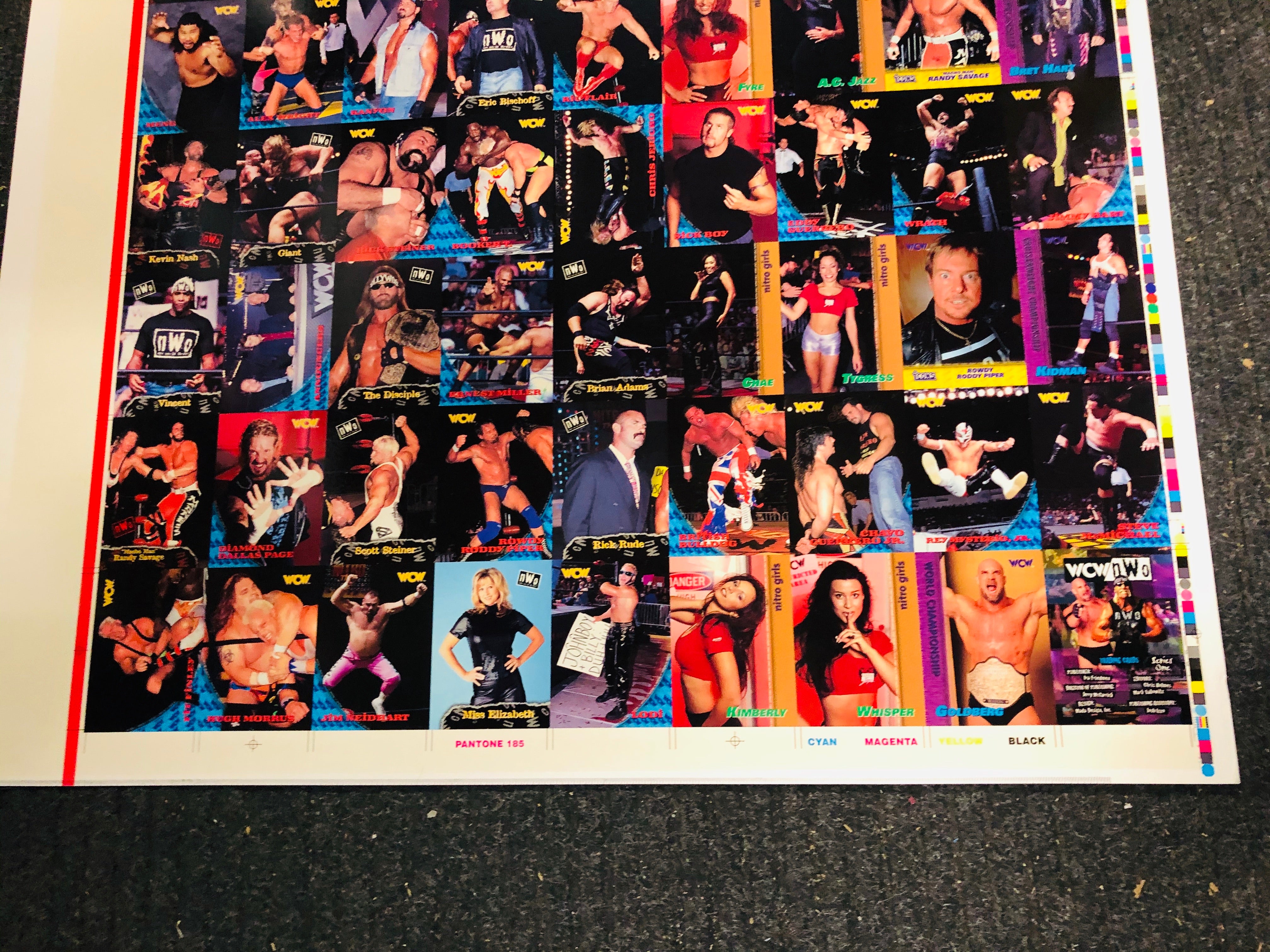 Wrestling WCW rare uncut cards sheet 1995