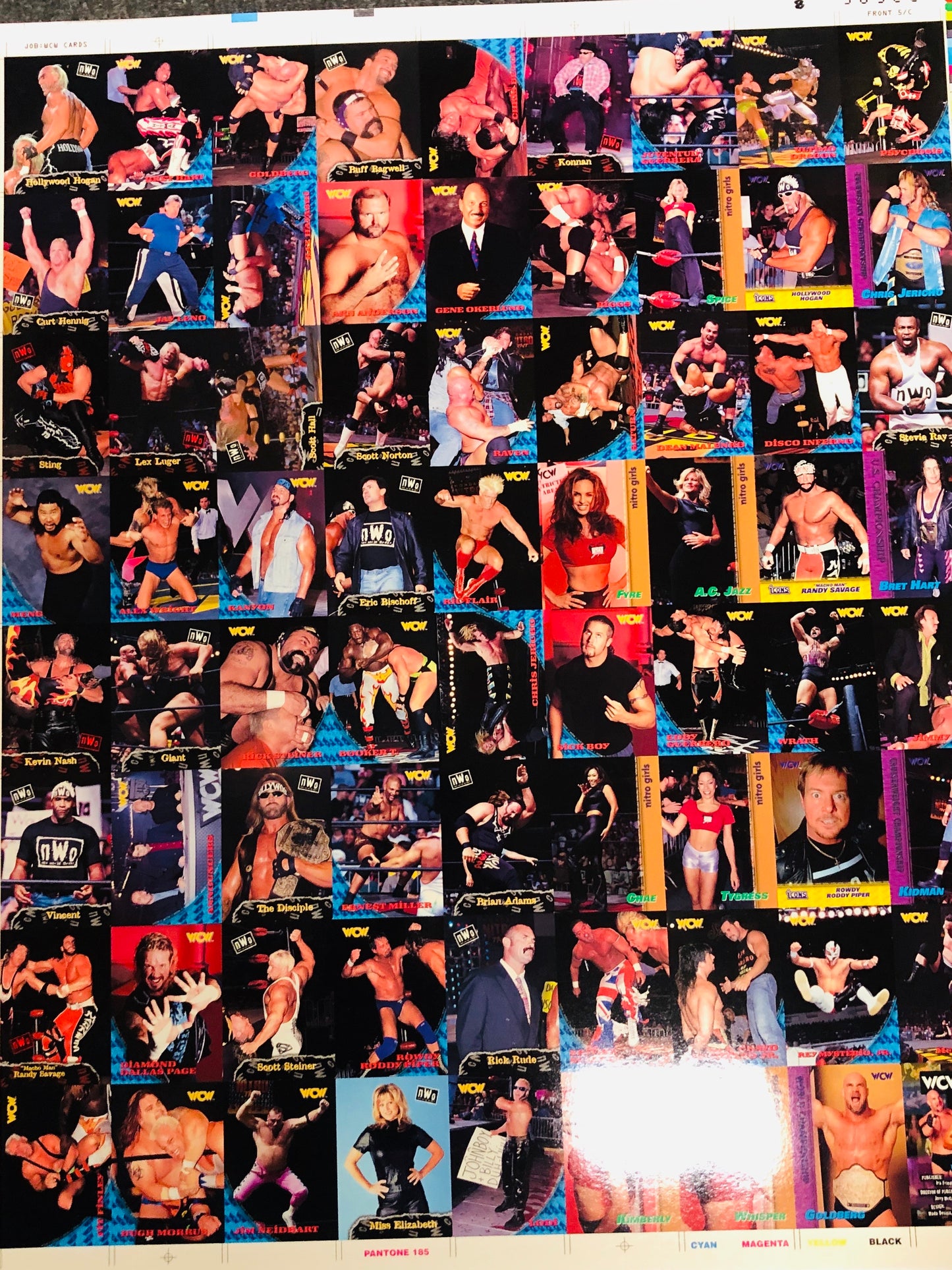 Wrestling WCW rare uncut cards sheet 1995