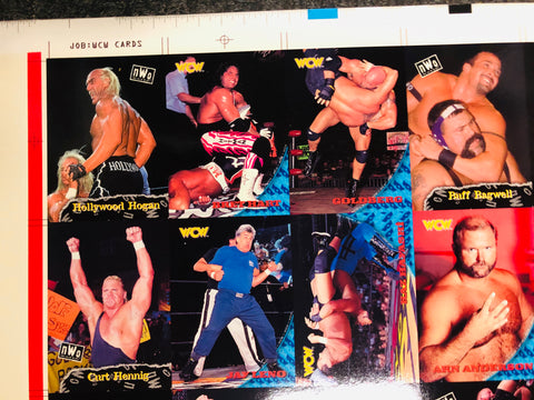 Wrestling WCW rare uncut cards sheet 1995